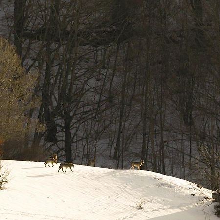 Hotel Valle Del Lupo Пескассеролі Екстер'єр фото