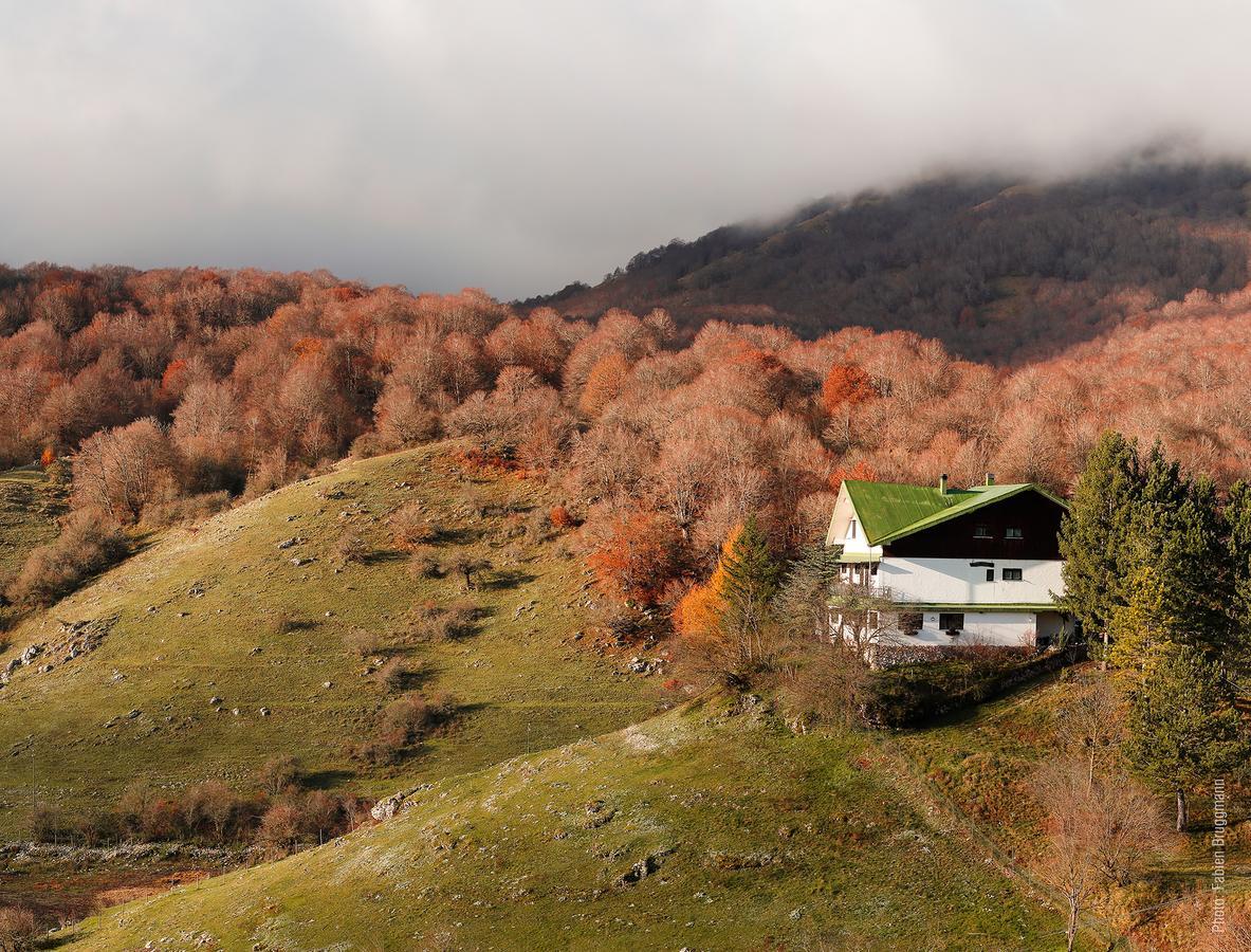 Hotel Valle Del Lupo Пескассеролі Екстер'єр фото